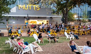 MUTTS Canine Cantina Hosts Grand Opening for New Fort Worth Location