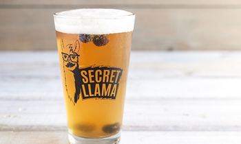 World of Beer Bar & Kitchen Hosts “Bring Your Llama to Wob Day” in Honor of National Llama Day