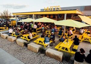 MUTTS Canine Cantina Signs Lease in El Paso, TX in Montecillo Mixed-Use Development