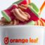 Chill Out This Memorial Day and All Summer Long with Watermelon Froyo from Orange Leaf