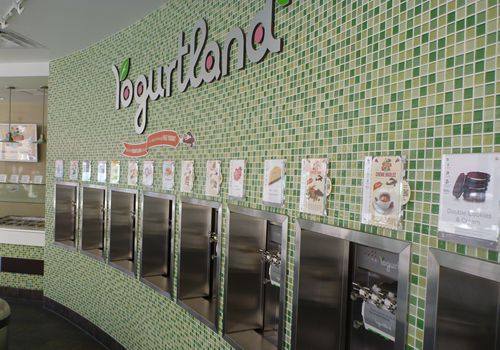 With 168% Growth over Three Years, Yogurtland Debuts on the Inc. 500/5000 List