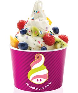 Menchie’s Offers Free Frozen Yogurt to Military on Veterans Day