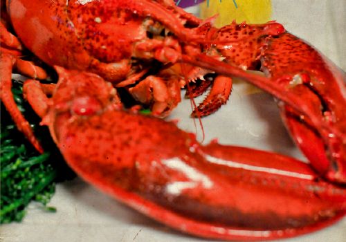 Ruffino’s Celebrates Summer’s End With New Lobster Festival Menu