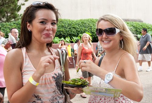 Taste of Dallas Cooler than Ever in 2015