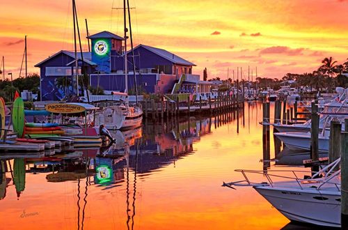 New Seafood Sensation Attracts Top Food & Beverage Expert