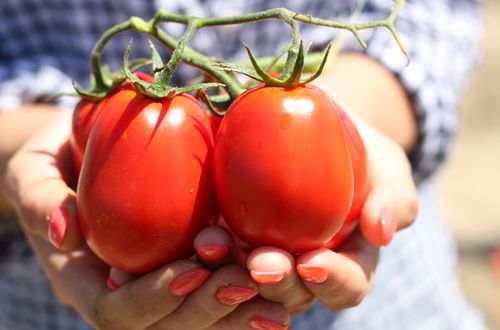 PizzaRev’s ‘Celebrate the Sauce’ Campaign Shows Brand’s Commitment to All-Natural Pizza Ingredients