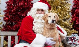 Mutts Canine Cantina Hosts ‘Pictures with Santa Paws’