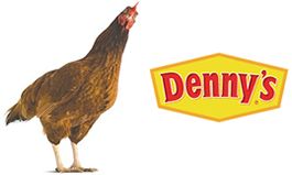 Denny’s Announces Commitment to Serve 100 Percent Cage-Free Eggs