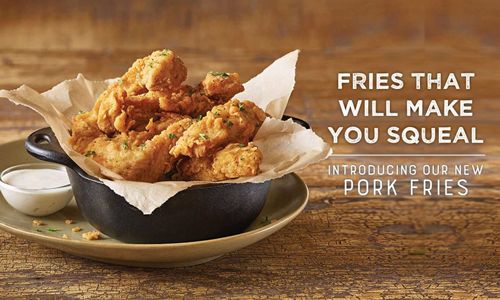 Logan’s Roadhouse Just Upped the Appetizer Game with the Introduction of Pork Fries