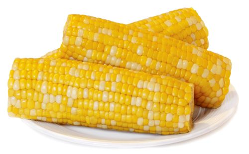 New Sweet Corn for Foodservice & Retail Sales