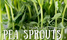 March Brings Pea Sprouts to Salata’s Toppings Lineup