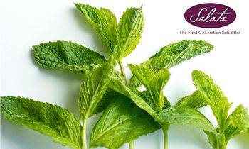 Salata Brings Enjoy-Mint To June