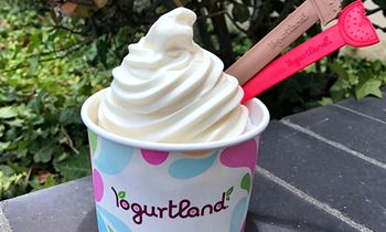 Yogurtland Swirls Up New ‘Rare Madagascar Vanilla’ For a Limited Time