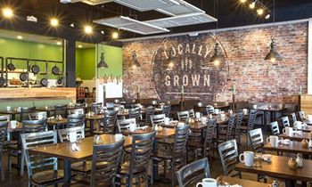 First Watch Chooses South Arlington for Ninth Dallas-Area Restaurant Opening