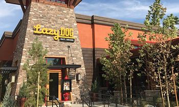 Lazy Dog Restaurant & Bar Debuts in Folsom, CA