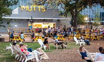 MUTTS Canine Cantina Announces New Franchising Opportunities