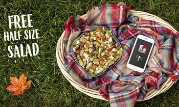 Wendy’s Celebrates Fall with the New Harvest Chicken Salad