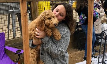 Fall in Puppy Love at MUTTS Canine Cantina