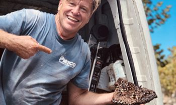 New Twisted Tuna Restaurant in Jupiter Florida Relocates Up To 50,000 Bees During Remodel