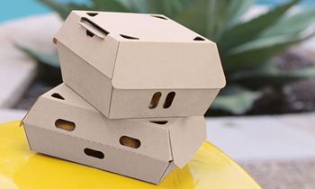 Novolex Introduces EcoCraft Fresh & Crispy Containers to Keep Fried Foods Warm and Crunchy