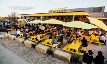 MUTTS Canine Cantina to Expand its Pawprint from Dallas to Denver