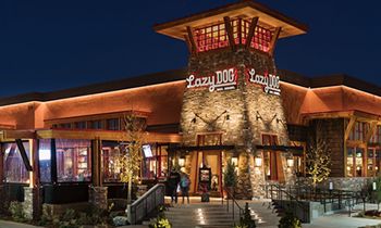Lazy Dog Restaurant & Bar Brings Jobs and New Dining Experience to Fairfax