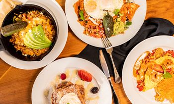 Brunch Is Back at GuacAmigos in Newport Beach Harbor!