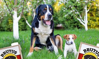 Star Chefs Partner with Brutus Broth for National Cook for Your Pet Day on November 1st