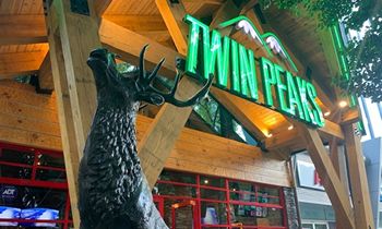 Twin Peaks Makes its Highly Anticipated Latin America Debut