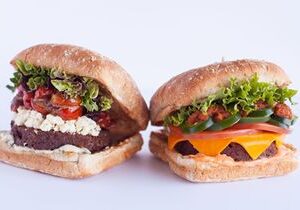 Coolgreens Old Town Debuts New Feel Good Sandwiches