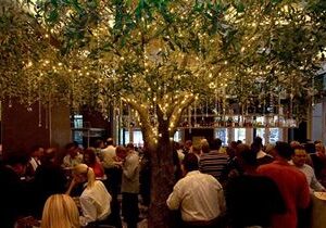 Tuscan Prime Italian Chophouse and Dolce Bar Opening in Annapolis Town Center Fall 2021