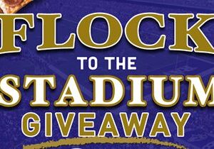 Ledo Pizza Supports Baltimore Ravens Through ‘Flock to the Stadium’ Giveaway