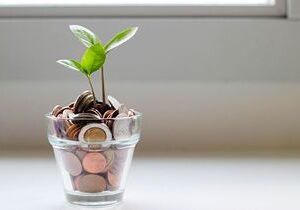 Franchise Growth Solutions Expands Its Services to Assist Start-up and Emerging Brands with Funding