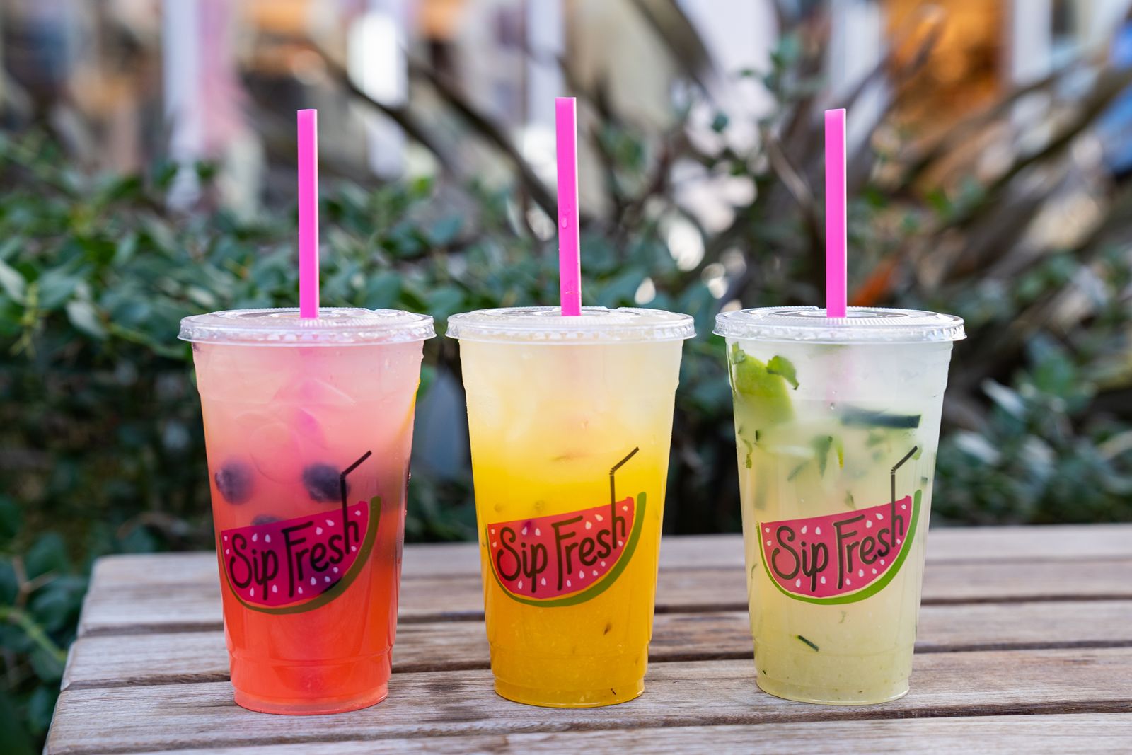 Sip Fresh Announces First Franchise Agreement