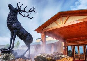Twin Peaks’ Banner Year Continues With Fall Successes