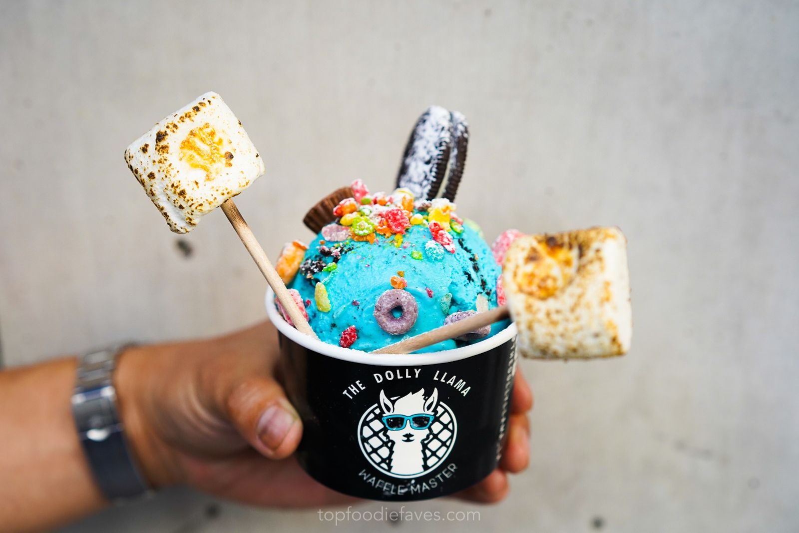 The Dolly Llama Hosts 'Build-Your-Own' Creative Photo Contest for Guests Nationwide in Honor of 'International Creativity Month' in January The Dolly Llama Hosts 'Build-Your-Own' Creative Photo Contest for Guests Nationwide in Honor of 'International Creativity Month' in January
