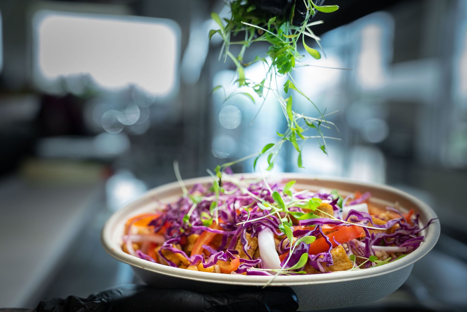 Balance Grille Looks to Continue Franchise Expansion Plans in Home State of Ohio Balance Grille Looks to Continue Franchise Expansion Plans in Home State of Ohio