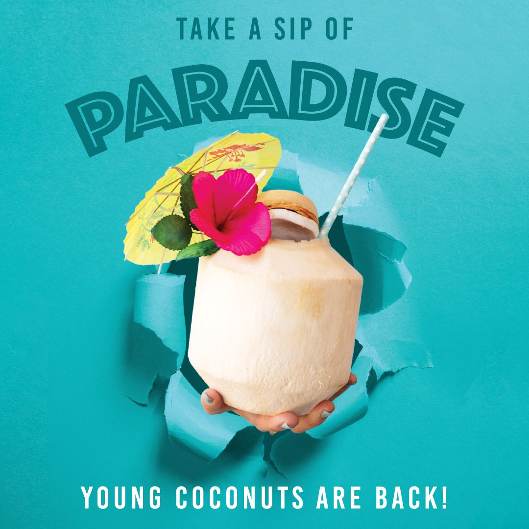 Coming May 1st - Young Coconuts Return to Ono Hawaiian BBQ Coming May 1st - Young Coconuts Return to Ono Hawaiian BBQ
