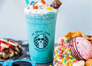 The Dolly Llama Opens Second Dallas-Area Shop in Plano, Texas With Grand Opening Celebration on Saturday, May 27th