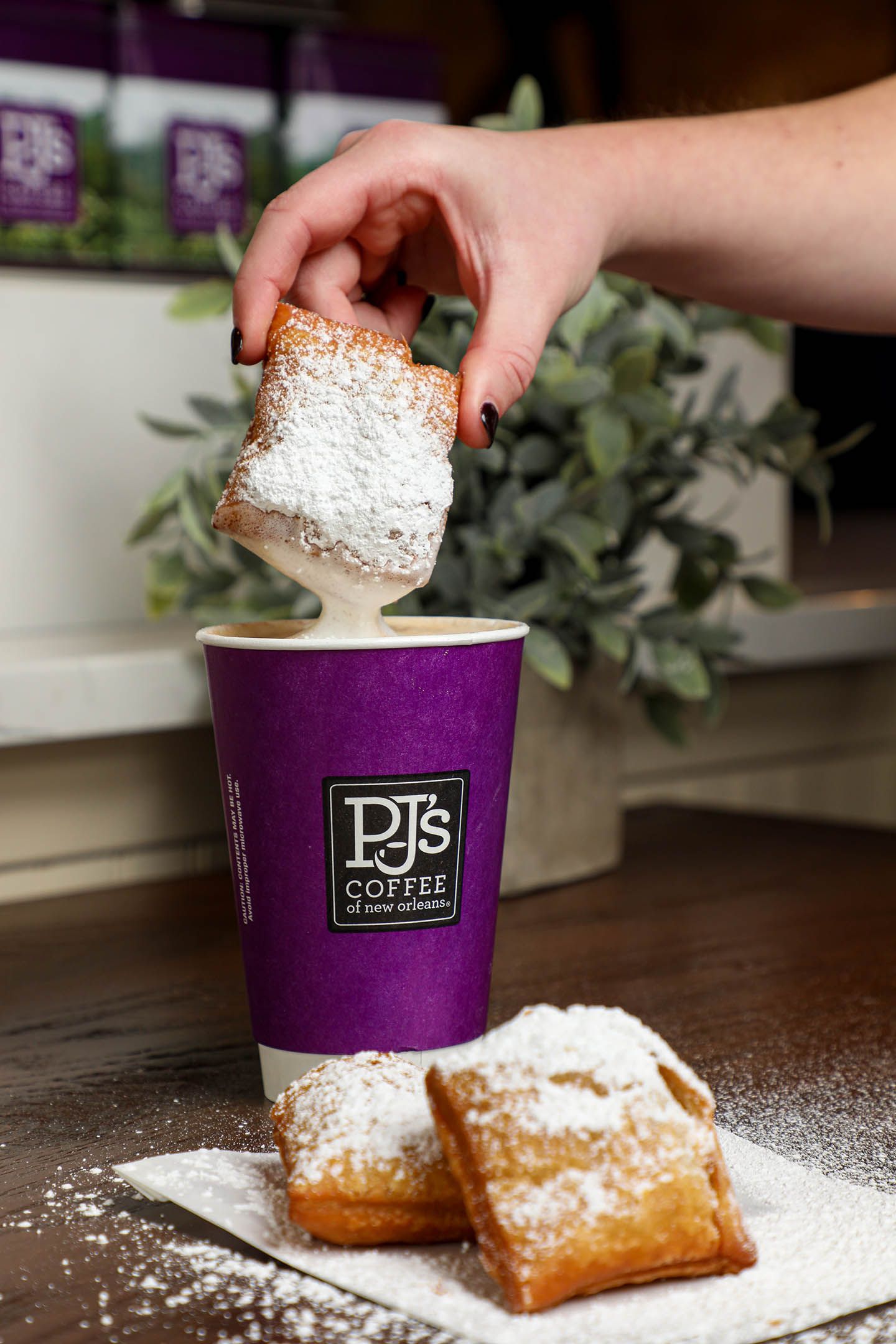 PJ's Coffee Brings NOLA to Pensacola with Original Small Batch Flavor PJ's Coffee Brings NOLA to Pensacola with Original Small Batch Flavor