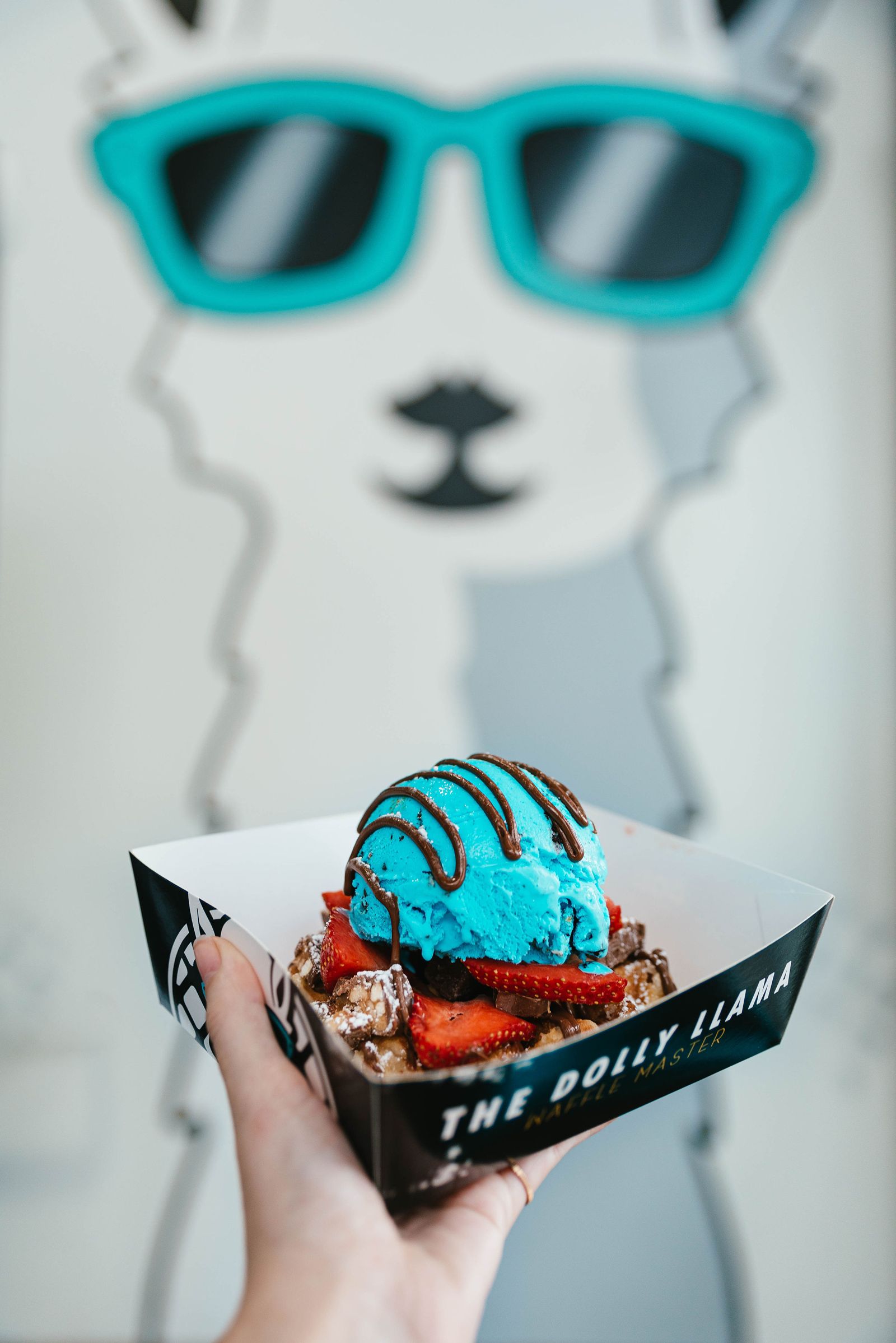 The Dolly Llama to Debut in Northern California With Elk Grove Grand Opening Celebration on July 29th The Dolly Llama to Debut in Northern California With Elk Grove Grand Opening Celebration on July 29th