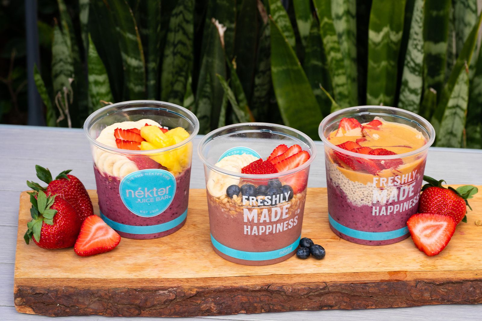 Nékter Juice Bar Announces Dual-Executive Approach to Marketing with New CMO and First-Ever CTO Role to Drive Growth and Brand Refresh Nékter Juice Bar Announces Dual-Executive Approach to Marketing with New CMO and First-Ever CTO Role to Drive Growth and Brand Refresh