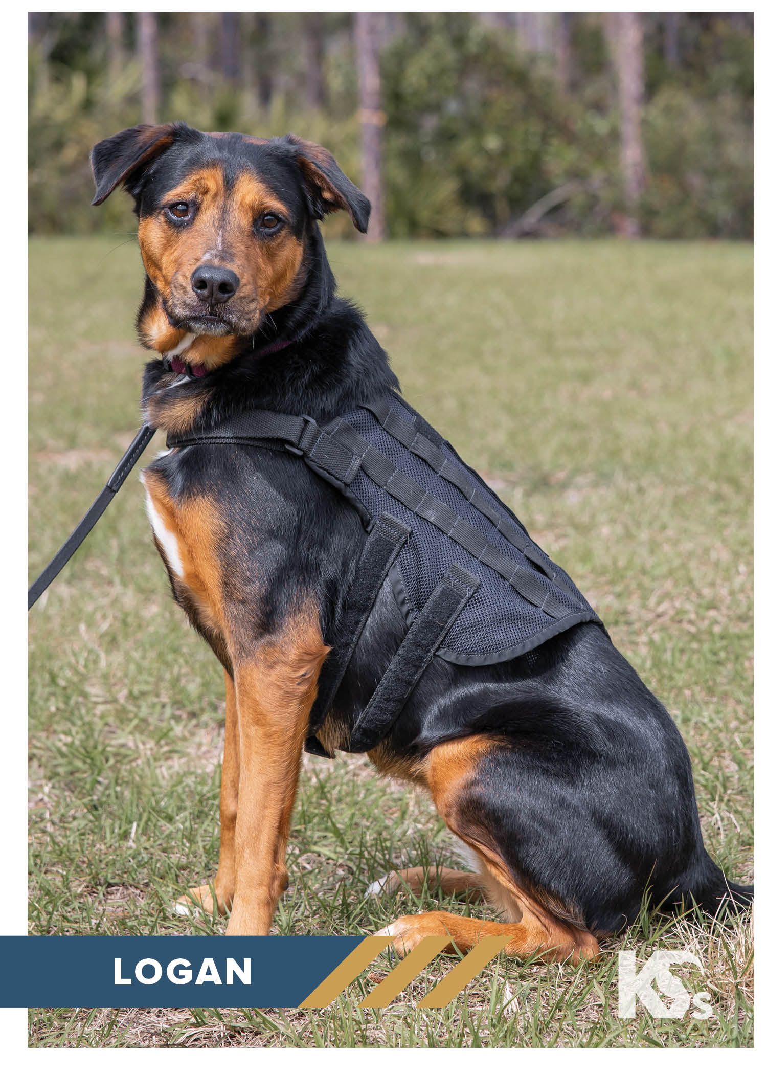 Logan's Roadhouse Deepens Community Impact with 50,000 Meals Donated and a Service Dog Named Logan Logan's Roadhouse Deepens Community Impact with 50,000 Meals Donated and a Service Dog Named Logan