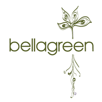 Bellagreen New, Anti-Inflammatory Menu Brings a "Golden Glow" to Winter Dishes