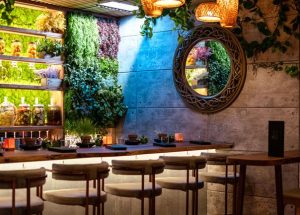 EL JARDÍN Brings a Fresh Culinary Vision to Southwest Florida