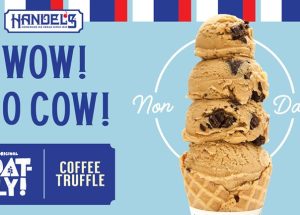 Handel’s Scoops Up New Non-Dairy Line with Oatly