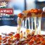 Chandi Hospitality Group Proudly Brings Popular Mountain Mike’s Pizza Experience to Sonoma County Fairgoers