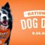 Smalls Sliders Rolls Out the Orange Carpet for Dogs This National Dog Day