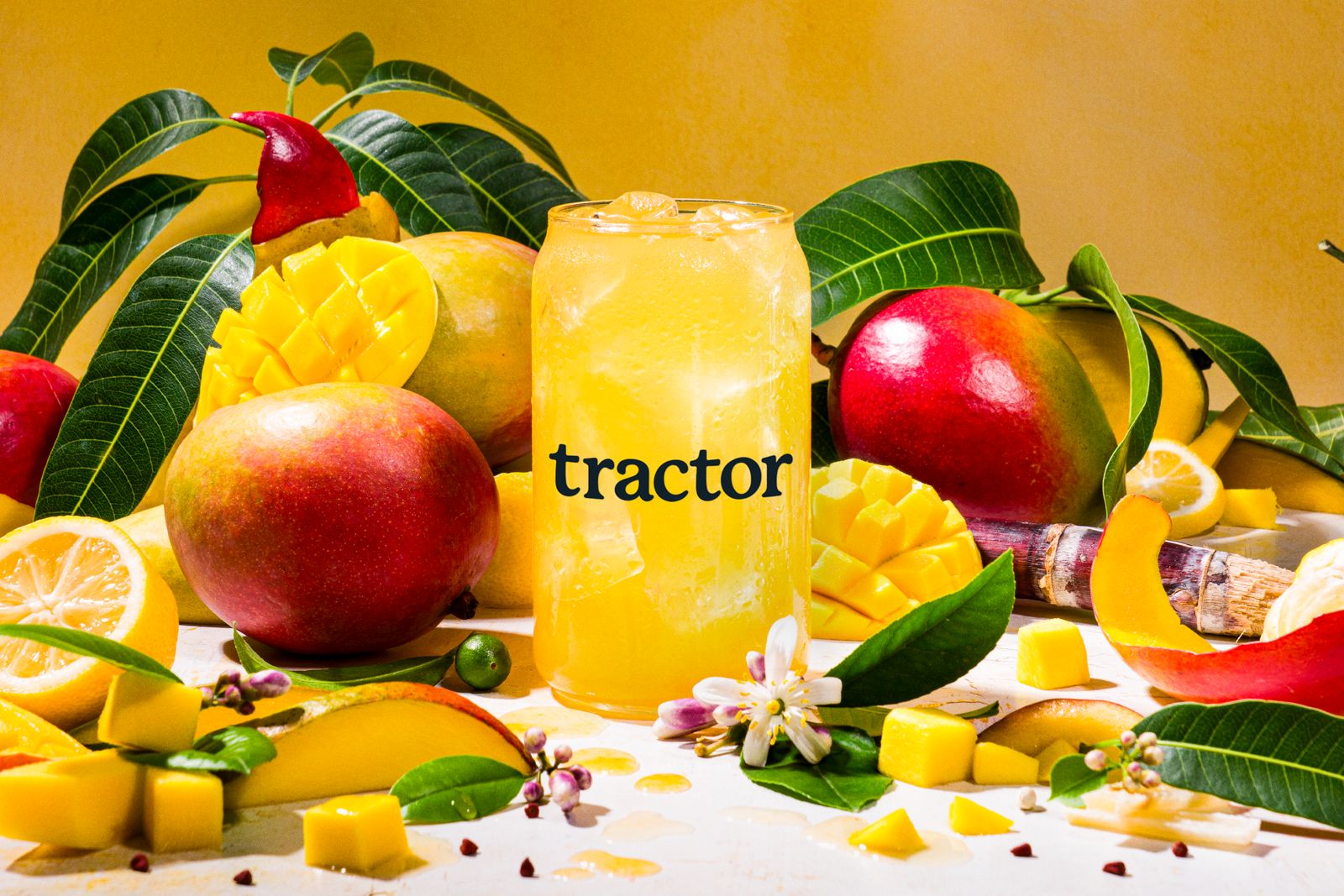 Brooklyn Water Bagel and Tractor Beverage Company Build Partnership Around Certified Organic Quality and Taste Brooklyn Water Bagel and Tractor Beverage Company Build Partnership Around Certified Organic Quality and Taste